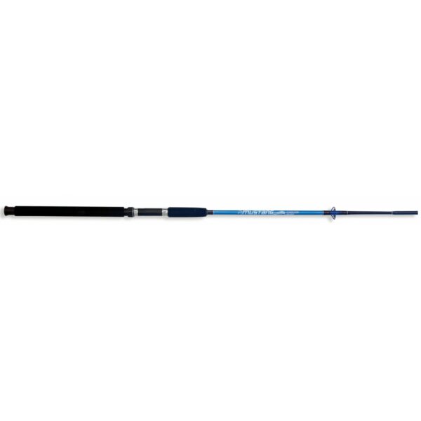 Lineaeffe Mustang Evolution 2.70 mt az.100-250 g