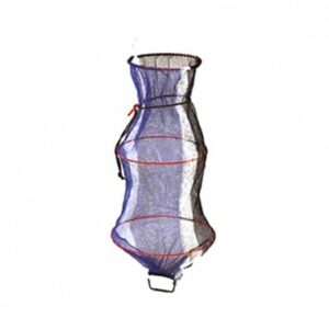 NASSA 50x30