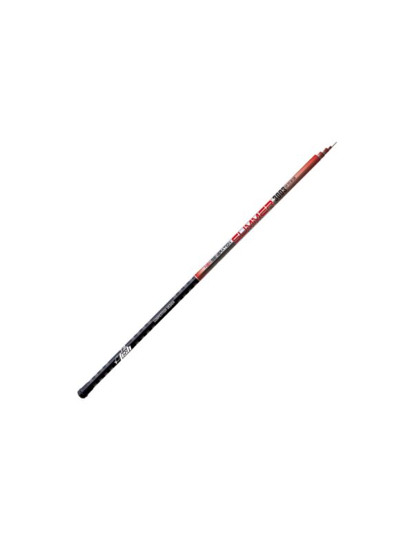 LIT'L FISH SUMMER POLE mt 5,00