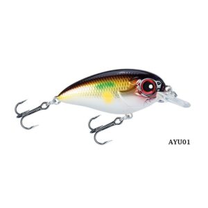 STR ARISE CRANK